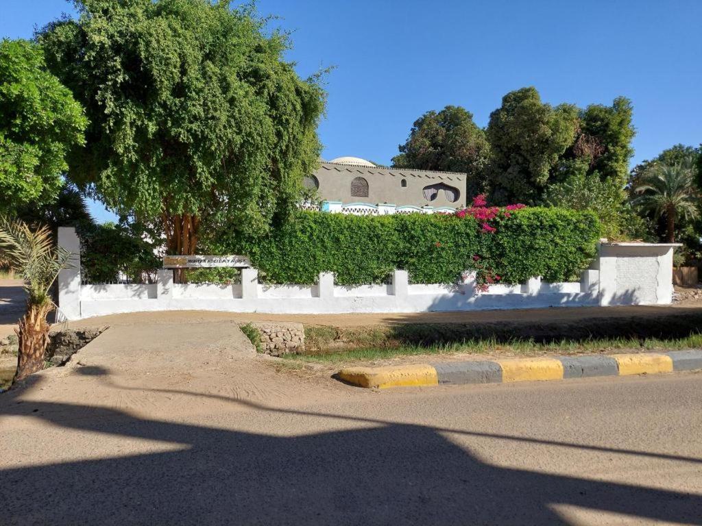 Nubian Holiday House Aswan Exterior photo