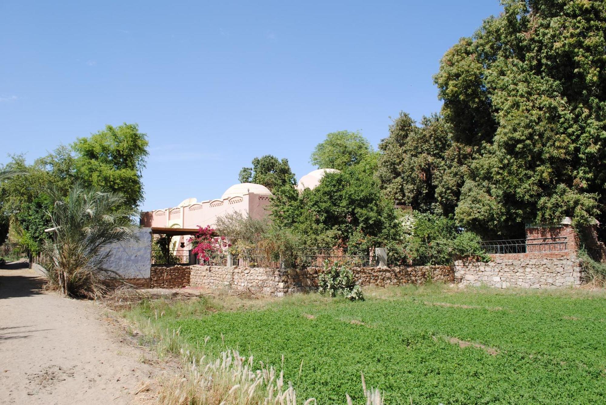 Nubian Holiday House Aswan Exterior photo