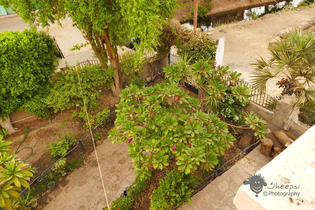 Nubian Holiday House Aswan Exterior photo