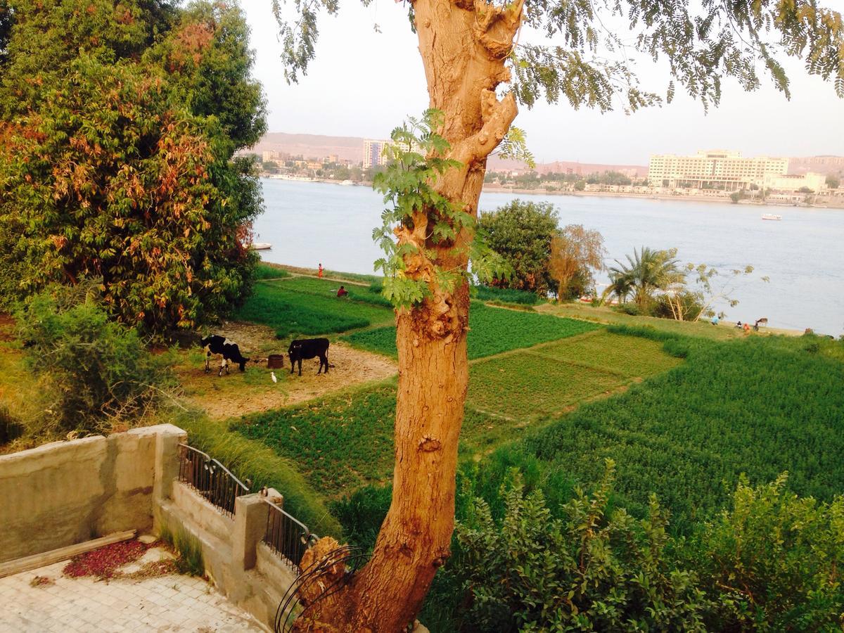 Nubian Holiday House Aswan Exterior photo